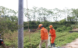 Không để thiếu điện trong mùa nắng nóng