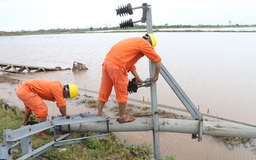 Cơ bản khắc phục sự cố lưới điện sau bão số 2