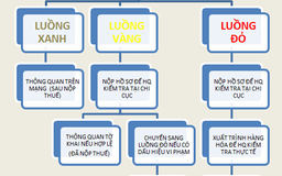 Doanh nghiệp cần tránh lỗi khi khai báo hàng hoá XNK