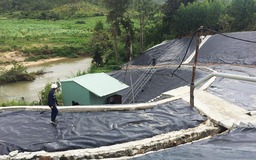 Gia Lai: Cho ngừng hoạt động nhà máy gây ô nhiễm môi trường