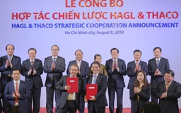 Thủ tướng hoan nghênh 'nhân duyên môn đăng hộ đối' Thaco-Hoàng Anh Gia Lai