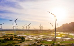 CEO Trungnam Group: Bản lĩnh Việt, khát vọng Việt đã giúp chúng tôi có được thành tích như hôm nay