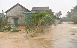 TKV ủng hộ các tỉnh miền Trung 5 tỷ đồng khắc phục thiệt hại do mưa lũ