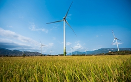 Đề xuất giảm giá FIT điện gió: DN kiến nghị kéo dài giá hiện tại