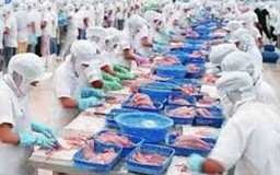 Ngừng cấp chứng thư cho sản phẩm thủy sản bị EU cảnh báo