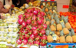 Tìm kiếm đối tác Việt Nam xuất khẩu rau quả tươi cho khách hàng Thụy Sĩ 