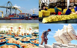 Tổ chức xét chọn “Doanh nghiệp xuất khẩu uy tín” năm 2017
