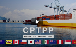Hỗ trợ doanh nghiệp tận dụng cơ hội từ CPTPP