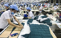 Hội nghị giao thương trực tuyến giày dép, dệt may Việt Nam – Hà Lan 