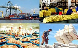 Gia hạn xét chọn Doanh nghiệp xuất khẩu uy tín năm 2020 