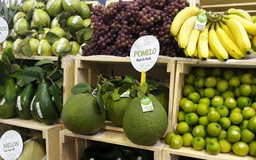 Nhiều sự kiện xúc tiến phát triển thị trường xuất khẩu nông sản sắp được tổ chức