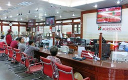 Kết quả thực hiện chính sách tín dụng phục vụ phát triển nông nghiệp, nông thôn
