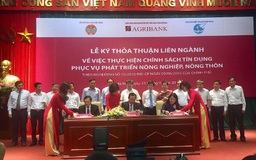 Agribank hỗ trợ phụ nữ phát triển kinh tế nhờ dịch vụ tài chính vi mô