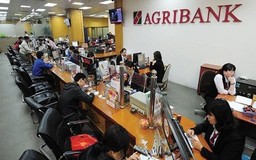 Agribank dành 5.000 tỷ đồng cho vay tiêu dùng 