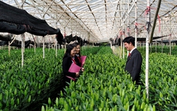 Agribank góp phần thúc đẩy ‘xanh hóa’ tín dụng
