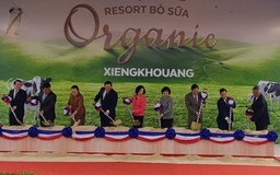 Vinamilk khởi công xây dựng tổ hợp "Resort" Bò sữa tại Lào