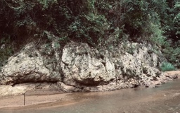 Dự án Thủy điện Sông Âm đã được duyệt phương án nộp tiền trồng rừng thay thế