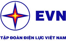 Phát triển EVN thành Tập đoàn kinh tế mạnh