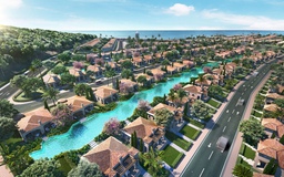 Quản lý và vận hành NovaHills theo tiêu chuẩn quốc tế   