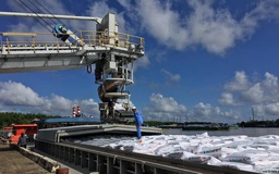 Phân bón Cà Mau hoàn thành xuất sắc nhiều chỉ tiêu tài chính 2020