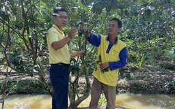 Phân bón Cà Mau đồng hành cùng người nông dân 