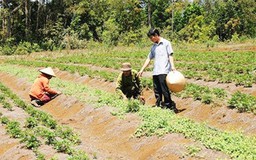 Bến Tre hỗ trợ doanh nghiệp khởi nghiệp