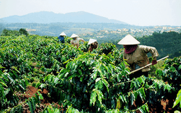 Nhận giao khoán của DN có được miễn tiền thuê đất?