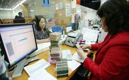 Không có cơ sở xem xét việc miễn tiền chậm nộp thuế của Cty Vikom