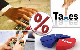 Bộ Tài chính trả lời kiến nghị của Công ty TNHH Tân Bình