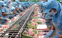 VASEP kiến nghị gỡ vướng cho DN thuỷ sản về xử lý nước thải