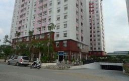 Giao kiểm tra toàn diện Dự án Chung cư Tín Phong, TPHCM