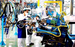 Thuật ngữ “công nghệ” tại Luật Chuyển giao công nghệ