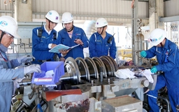 Dự thầu qua mạng có phải kê khai số lượng công nhân?
