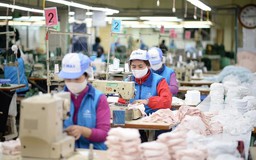 Xuất khẩu khẩu trang vải kháng khuẩn có cần giấy phép?