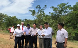 EVN, WB hợp tác thúc đẩy triển khai năng lượng tái tạo 