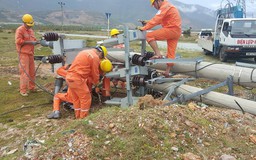 Gấp rút khắc phục sự cố lưới điện thiệt hại trong bão số 10