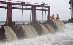 Cam kết cấp điện phục vụ sản xuất Đông Xuân với chất lượng tốt nhất