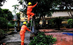 Ngành điện miền Bắc sẵn sàng ứng phó với bão số 3