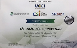 EVN lọt tốp 100 doanh nghiệp bền vững tại Việt Nam năm 2018