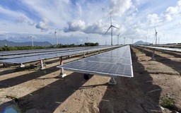 Đưa vào vận hành 21 công trình lưới điện giải tỏa công suất NLTT