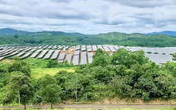 Nhà máy điện mặt trời Sê San 4 hòa lưới điện quốc gia