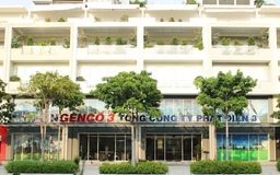 EVN cơ bản hoàn thành nhiệm vụ sắp xếp, tái cơ cấu doanh nghiệp