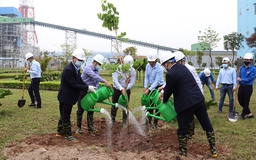 Nhiệt điện Thái Bình hưởng ứng phong trào “ Tết trồng cây”