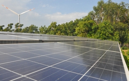 Tiết giảm phát nguồn năng lượng tái tạo là bắt buộc