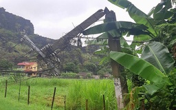 Cơ bản cấp điện trở lại cho khách hàng bị ảnh hưởng của bão số 2