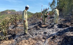 Bảo vệ an toàn đường dây 500 kV Bắc-Nam trong sự cố cháy rừng