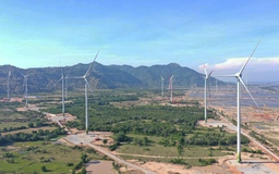 Thêm 963 MW điện gió đưa vào vận hành thương mại