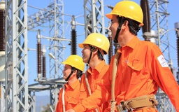 EVN phấn đấu trở thành doanh nghiệp số vào năm 2025