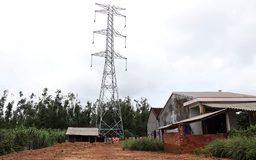 Đường dây 500 kV mạch 3 vẫn vướng mặt bằng hành lang tuyến