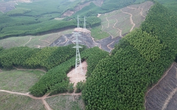 Thi công, đấu nối đường dây 500 kV mạch 3 vào lưới truyền tải điện